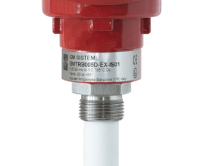 GMTRB005-EX-IS_b- GMTRB005-EX-IS